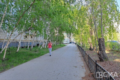 Специалисты рассказали об актуализации кадастровой стоимости объектов капитального строительства / ЯСИА   