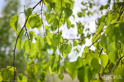 Что можно и нельзя делать 19 июня 2024 года: народные приметы и традиции / ЯСИА   