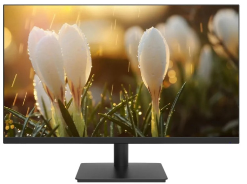 Монитор 23,8" Dahua DHI-LM24-A201H 1920x1080 LED, 16:9, IPS, 250cd, 1000:1, 5ms, 178/178, HDMI, M/M, 100Hz, VGA, DP, черный