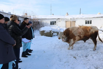 Роман Некрасов высоко оценил потенциал «Сахаагроплема» / ЯСИА   