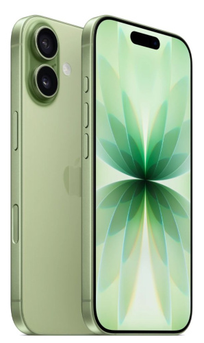 Смартфон Apple iPhone 17 512GB Sage (без RuStore, Nano+eSIM)