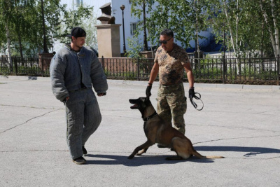 В аэропорту Якутска продемонстрировали навыки служебных собак / ЯСИА Якутск Якутск Республика Саха (Якутия)