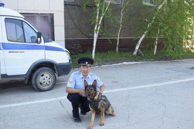 Кинолог Семён Ершов: «Работу, не связанную с животнымии, и представить себе не мог» / ЯСИА   