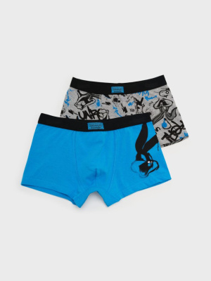 Трусы трикотажные для мальчиков - боксеры, 2 шт в комплекте