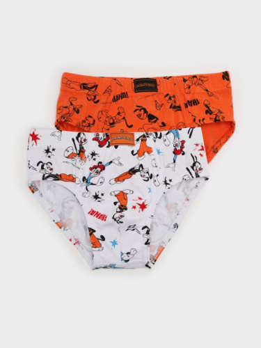 Трусы трикотажные для мальчиков - брифы, 2 шт в комплекте