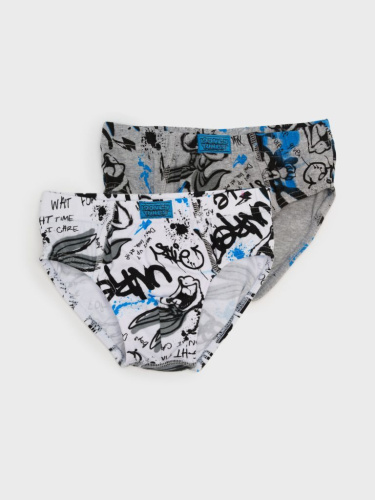 Трусы трикотажные для мальчиков - брифы, 2 шт в комплекте