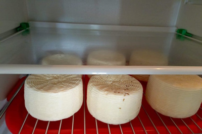 Обучение по производству сыра организовал центр «Мой бизнес» в Сунтарском районе / ЯСИА  Сунтарский Республика Саха (Якутия)