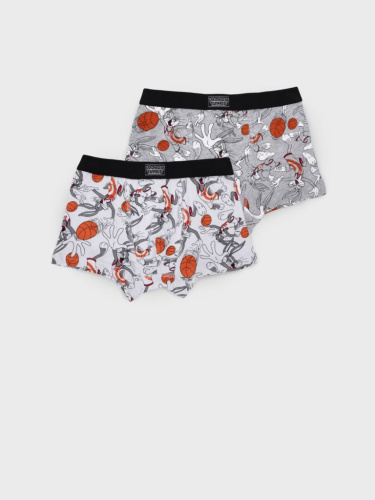 Трусы трикотажные для мальчиков - боксеры, 2 шт в комплекте