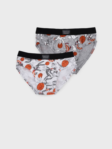 Трусы трикотажные для мальчиков - брифы, 2 шт в комплекте