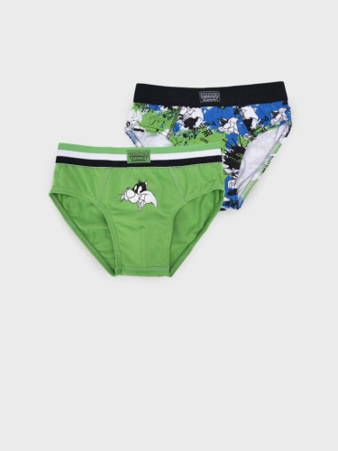 Трусы трикотажные для мальчиков - брифы, 2 шт в комплекте