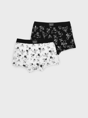 Трусы трикотажные для мальчиков - боксеры, 2 шт в комплекте