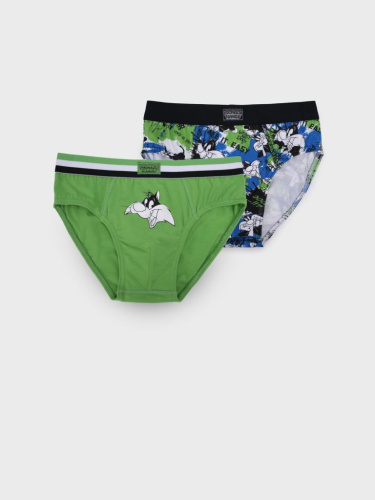 Трусы трикотажные для мальчиков - брифы, 2 шт в комплекте