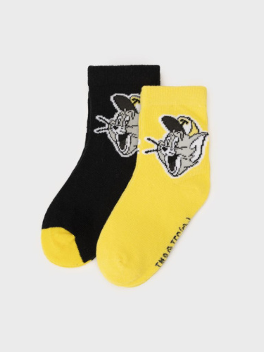 Носки детские трикотажные для мальчиков, 2 пары в комплекте