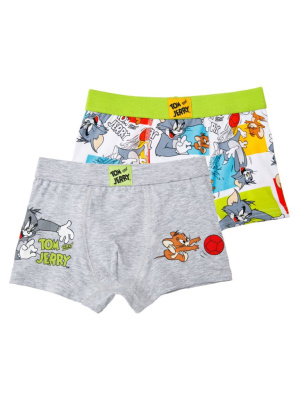 Трусы трикотажные для мальчиков - боксеры, 2 шт в комплекте