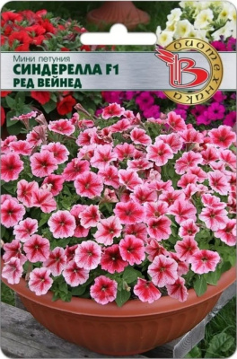 Петуния мини Синдерелла F1 Ред Вейнед 5 шт