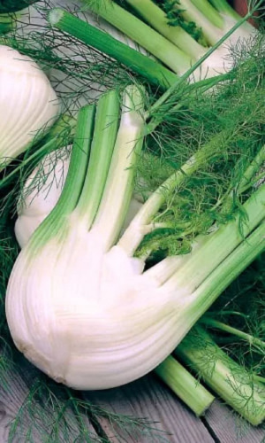 Фенхель (сладкий укроп) Удалец (УД) 0,3 гр цв.п.