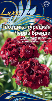 Гвоздика турецкая Черри Бренди 4 шт