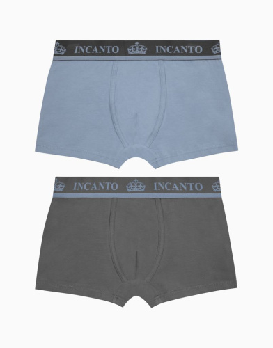 Набор из 2-х боксеров для мальчика 1235