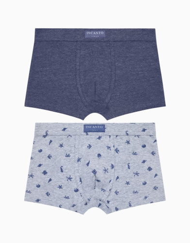 Набор из 2-х боксеров для мальчика 1067