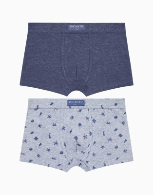 Набор из 2-х боксеров для мальчика 1067