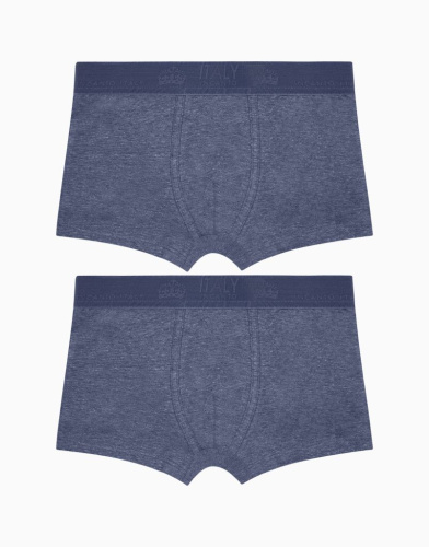 Набор из 2-х боксеров для мальчика 1058