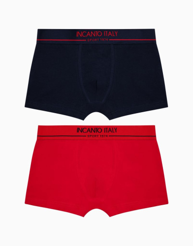 Набор из 2-х боксеров для мальчика 1059