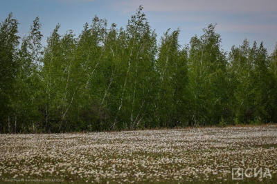 Что нельзя делать 28 июня 2024 года: народные приметы и традиции / ЯСИА   