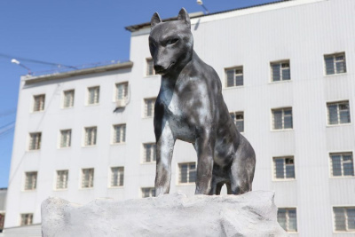 В следственном изоляторе Якутска осуждённый изготовил фигуру волка / Анна Лебединская Якутск Якутск Республика Саха (Якутия)