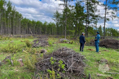 Трех человек привлекли к ответственности за возникновение лесных пожаров в Якутии / ЯСИА   Республика Саха (Якутия)