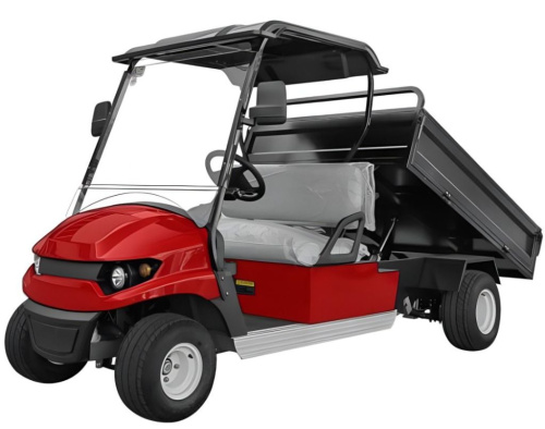 Гольфкар ZIMANI DC1000H