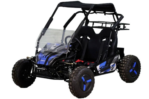 Багги SCANMOTO Rapid II