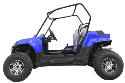 Багги HOOLEOX 300