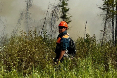 В Якутии за прошедшие сутки ликвидировано 34 лесных пожара / ЯСИА   Республика Саха (Якутия)