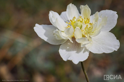 Что можно и нельзя делать 1 июля 2024 года: народные приметы и традиции / ЯСИА   
