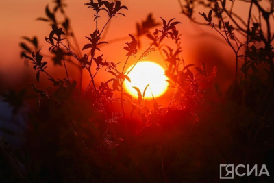 Пока в Якутии была ночь: пуск ракет КНДР, Канье Уэст в Москве, опасный астероид возле Земли / ЯСИА   Республика Саха (Якутия)