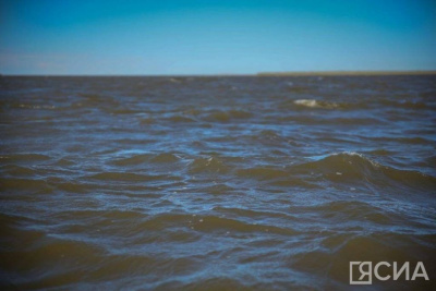 АЛРОСА выпустила 4 млн личинок пеляди в Вилюйское водохранилище / ЯСИА   