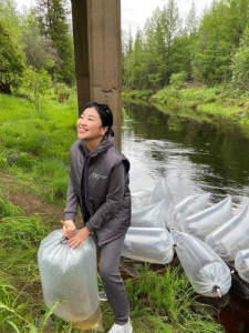 АЛРОСА выпустила 4 млн личинок пеляди в Вилюйское водохранилище /    