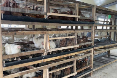 На грантовую поддержку семейных ферм в Якутии выделят 90 млн рублей / ЯСИА   Республика Саха (Якутия)