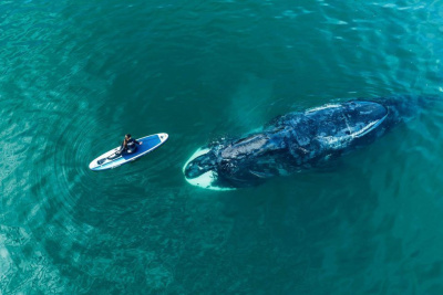 Туризм в Хабаровском крае: как провести отдых на родине китов и самолетов / ЯСИА   