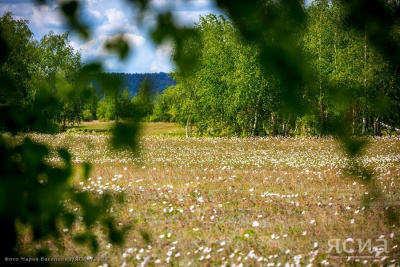 Врач назвала самые распространённые аллергены в Якутии / Мария Горохова   Республика Саха (Якутия)