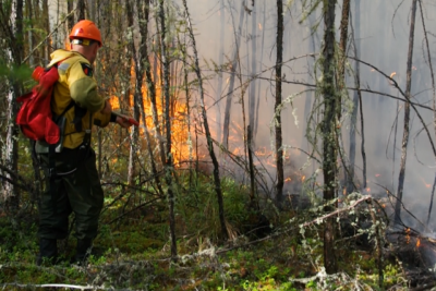 9 июля: борьба с лесным пожаром продолжается /    