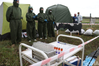 Ликвидацию очага заболевания крупного рогатого скота отработали в Якутске / Дьулустаан Сергеев Якутск Якутск Республика Саха (Якутия)