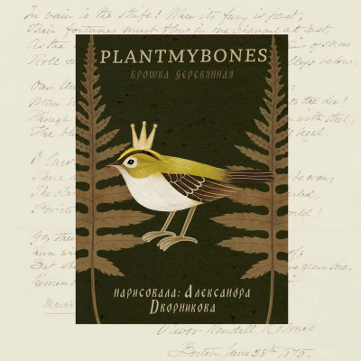 Деревянная брошка Дворникова А. "Королёк"