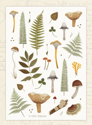 Стикеры Дворникова А. "Папоротники и грибы"