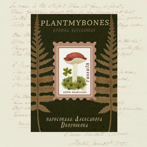 Деревянная брошка Дворникова А. "Почтовая марка"