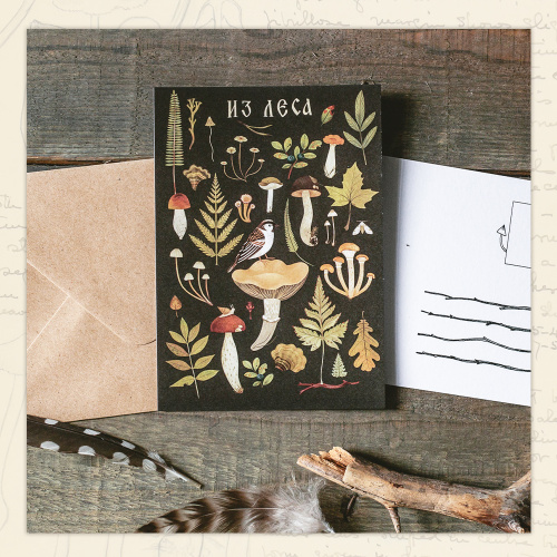 Открытка Дворникова А. "Воробушек"