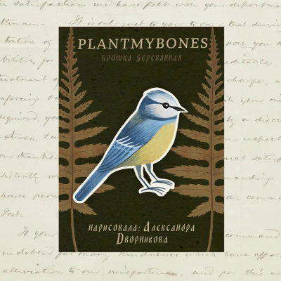 Деревянная брошка Дворникова А. "Синичка"