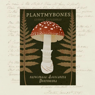 Деревянная брошка Дворникова А. "Мухомор"