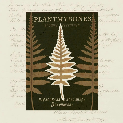 Деревянная брошка Дворникова А. "Лист папоротника"