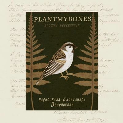 Деревянная брошка Дворникова А. "Воробей"